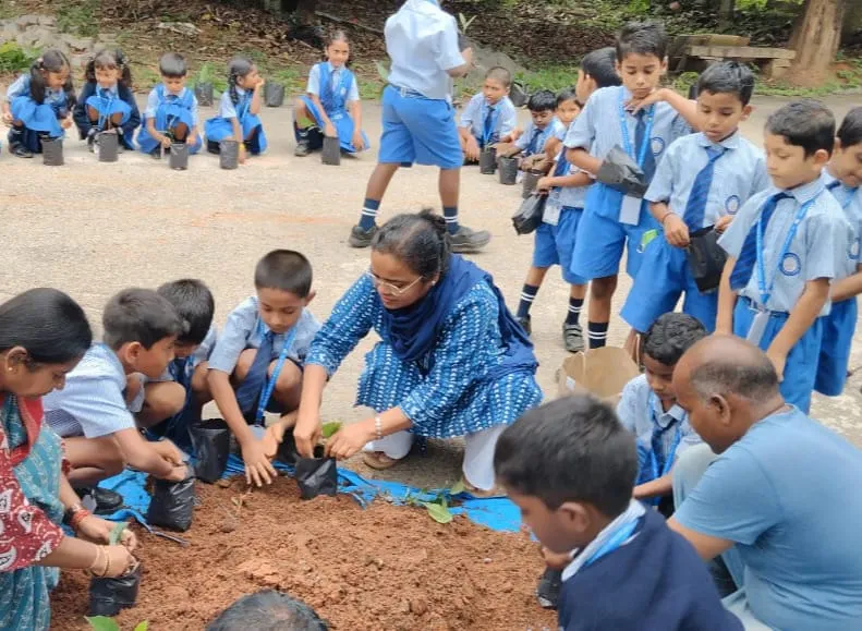 Nature is beautiful 2