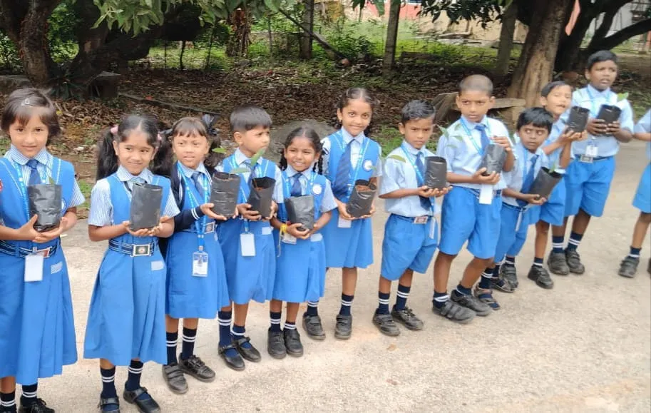 Nature is beautiful 1